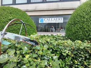 Callaert Insurance Brokers.jpg