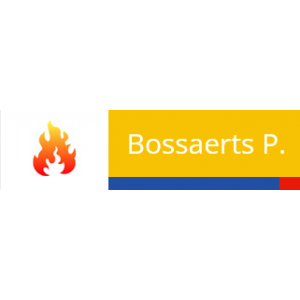 Bossaerts P..jpg