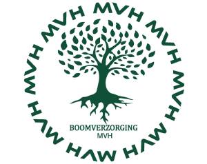 Boomverzorging MVH.jpg