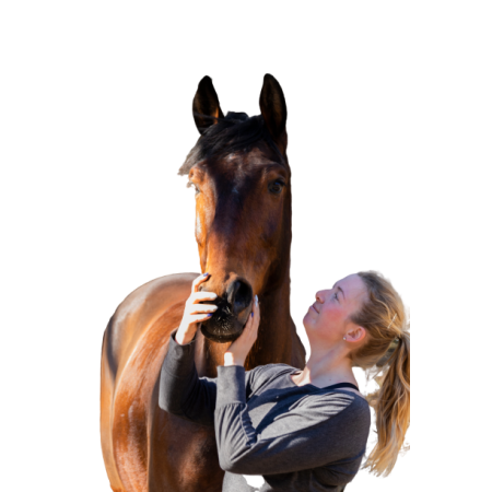 The Equi Effect Paardencoaching.jpg