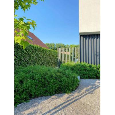 Wouter Vagenende - Huis & Tuin.jpg