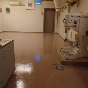 Scheepers Steentapijt.jpg