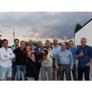 Bouwteam Wille bvba (Wille / Wesley).jpg