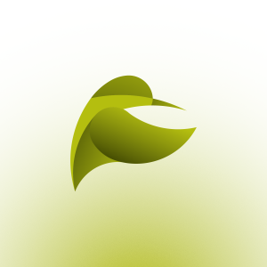 Kingfisher marketing.jpg