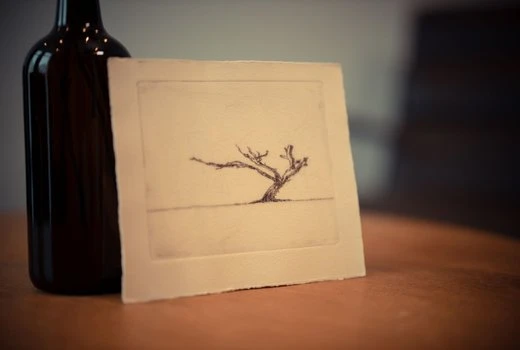 Den Aanzet - Psychologenpraktijk.jpg