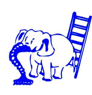 All Clean Thys Bvba.jpg